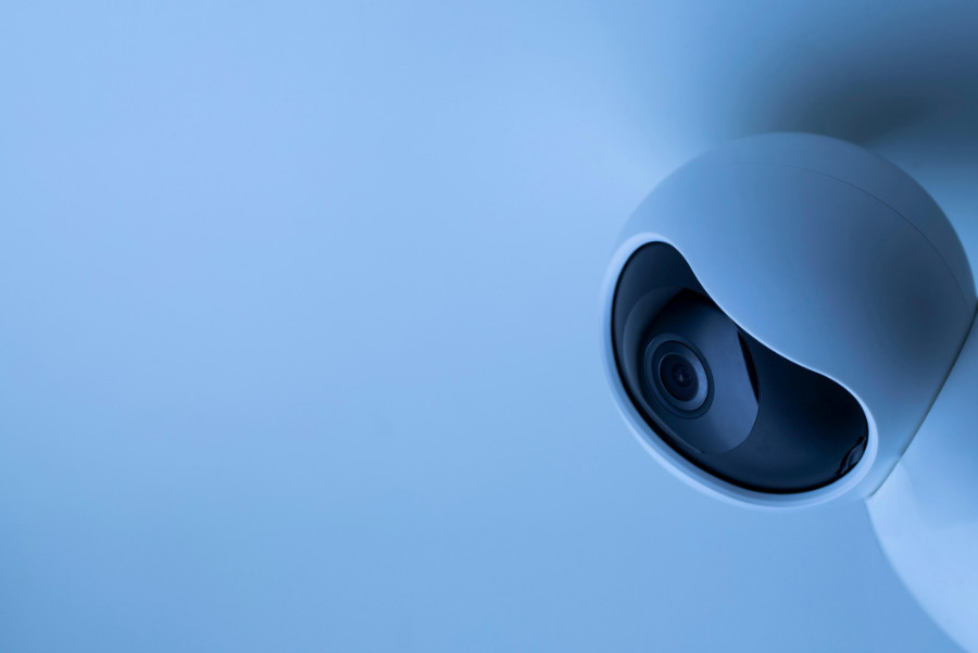 Videoüberwachungsanlagen​-unauffällige Integration-Kameras farblich lackieren-secmade Sicherheitstechnik